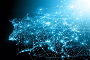 土味文化何以逆襲 從互聯網數據服務視角看青年審美轉向