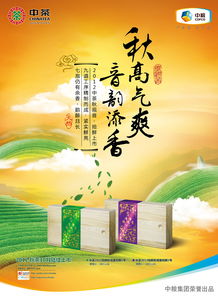 廣告設計 藝術與商業(yè)的完美融合